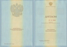 Диплом для иностранцев + МИД
